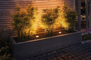 Paulmann Źródło światła LED GU10 przyjazna dla owadów  4,3W 320lm 2200K 230V 38st. 6