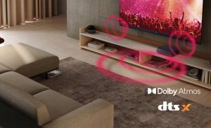 Kolumna Sharp AQUOS Wireless Surround Subwoofer | 10