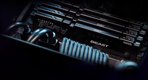 Pamięć Kingston Kingston | 16 GB | DDR5 | 5600 MHz | PC/serveris | Registered No | ECC No 2