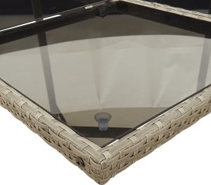 vidaXL 17-cz. zestaw mebli ogrodowych z poduszkami, szary, rattan PE 8