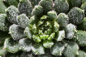 Obiektyw Tamron Tamron 90mm F/2.8 Di III Macro VXD Sony E 7