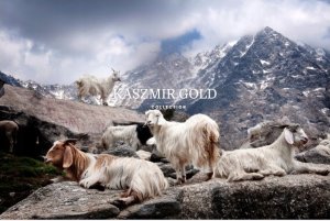 AMZ Kołdra AMZ Kaszmir Gold 135/140x200 cm, Całoroczna 4