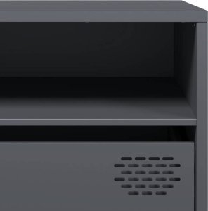 vidaXL vidaXL Szafka RTV, czarna, 202x39x43,5 cm, stal walcowana na zimno 10