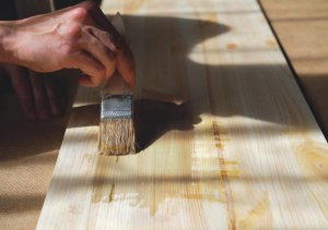 NO PEST Środek Preparat na Korniki Kołatki Spuszczele Szkodniki Drewna Impregnat Do Drewna 5L 4