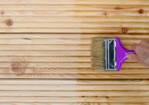 NO PEST Środek Preparat na Korniki Kołatki Spuszczele Szkodniki Drewna Impregnat Do Drewna 5L 6