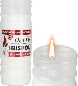 Bispol BISPOL - Wkład Zalewany Ognik WP3 - 24 szt. 3