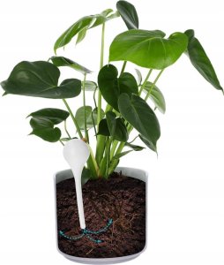 Browin Zestaw 4 kul nawadniających do kwiatów z korkiem 400ml 8