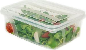 Pako Pojemnik Master Food 0,4L - TP Niebieski 3