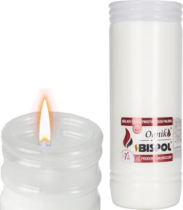 Bispol BISPOL - Wkład Zalewany Ognik WP7 - 12 szt. 7