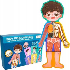 Dreniane Puzzle Anatomia Części Ciała Zabawka Edukacyjna Układanka Chłopiec 1