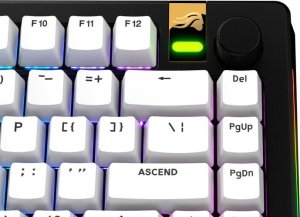 Glorious GPBT Basics Keycaps (GLO-KB-ACC-KC-GPBT-BA-CWHT-US) 3