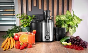 Sokowirówka Concept Sokowirówka 1000 W stal nierdzewna LO7095 5