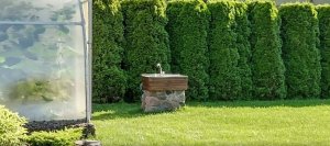 Kamera IP Reolink Kamera IP Reolink P850 3