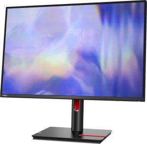 Monitor Lenovo ThinkVision T24d-30 (63FFMAT1EU) 2
