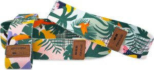 Spokey Zestaw gum treningowych Spokey HOME JUNGLE 8