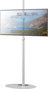 Techly Stojak podłogowy TV 32"-65" do 35kg regulowany biały 2