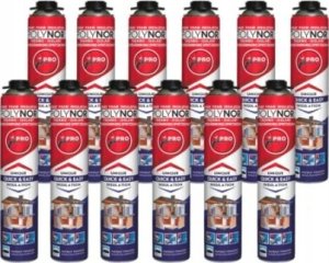 Dell Pu Spray Insulation Polynor Home 750Ml 12