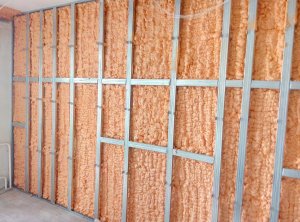 Dell Pu Spray Insulation Polynor Home 750Ml 24