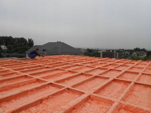 Dell Pu Spray Insulation Polynor Home 750Ml 32