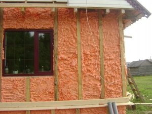 Dell Pu Spray Insulation Polynor Home 750Ml 47