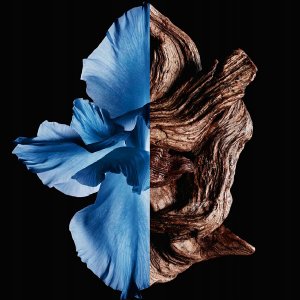 Rasasi Rasasi La Yuqawam EDP parfumuotas vanduo vyrams, 75 ml 3