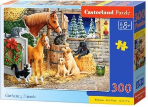 Castorland Puzzle Gathering Friends 300 elementów (241103) 1