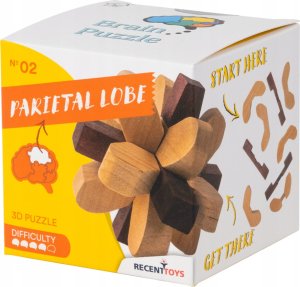 G3 Parietal Lobe - łamigłówka Recent Toys poziom 4/5 2