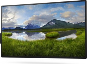 Monitor Dell P5525QC (210-BNTN) 2