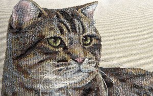 Witek Home Poszewka dekoracyjna 45x45 cm Kocur 797 3