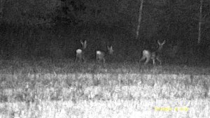 Naturehike Monokular noktowizyjny Nachtjger NH-3 12