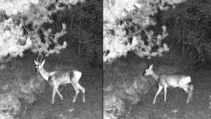 Naturehike Monokular noktowizyjny Nachtjger NH-3 13