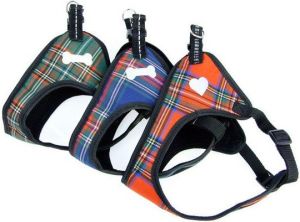 Champion Szelki taśma 55 komfort TSZ 3