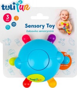 Dumel Sensoryczna ośmiornica 2