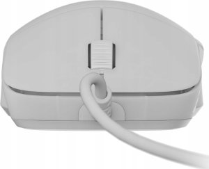 Mysz Endgame Gear Endgame Gear XM2 8k Gaming Maus, kabelgebunden - White Frost 12