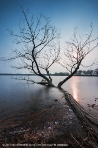 Obiektyw Laowa LAOWA Venus Optics Obiektyw D-Dreamer 12 mm f/2,8 Zero-D do Leica L 15