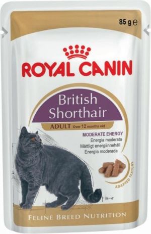 Royal Canin Feline Breed British Shorthair saszetka 85g 1
