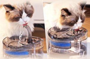 Verk Automatyczne poidełko dla kota psa fontanna cicha miska poidło Automatyczne poidełko dla kota psa fontanna cicha miska poidło 11