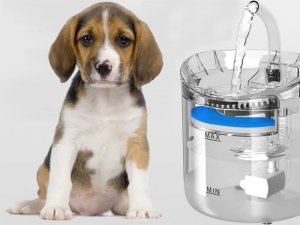 Verk Automatyczne poidełko dla kota psa fontanna cicha miska poidło Automatyczne poidełko dla kota psa fontanna cicha miska poidło 4