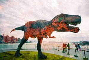 Aparat cyfrowy Lomography Lomo 35mm Point and Shoot camera 11