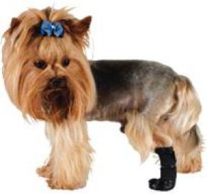 Grande Finale But na chorą łapę r.1 - 4cm 4