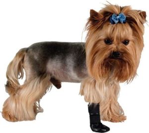 Grande Finale But na chorą łapę r.2 - 5cm 2