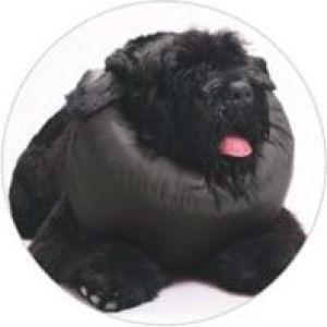 Grande Finale Kołnierz pooperacyjny rozmiar 2 [WET/K/2] 3