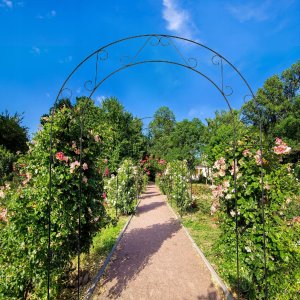 Kadax KADAX Pergola Ogrodowa metalowa Łuk Na Kwiaty Róże Do Róż Pnącz 240cm Podpora 3