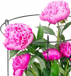 Kadax KADAX Podpora Roślin Kwiatów 90cm Ogrodowa Pierścieniowa Podpórka Stalowa 2szt 3