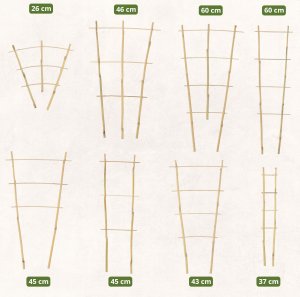 Kadax KADAX Drabinka Bambusowa Pergola Podpora 46 cm 5 szt 3