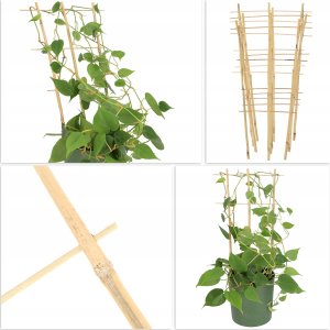 Kadax KADAX Drabinka Bambusowa Pergola Podpora 46 cm 5 szt 5