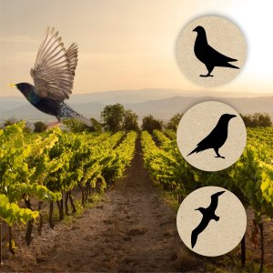 Kadax KADAX Taśma Odblaskowa Odstraszacz Ptaków Gołębi 50m 3