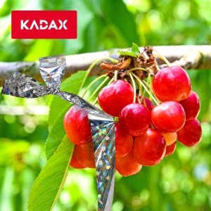 Kadax KADAX Taśma Odblaskowa Odstraszacz Ptaków Gołębi 50m 6