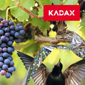 Kadax KADAX Taśma Odblaskowa Odstraszacz Ptaków Gołębi 50m 7