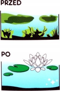 Bioexpert bioExpert, BLUKLAR do oczek wodnych 250g 3